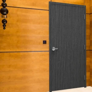 WOODGRAIN DOOR